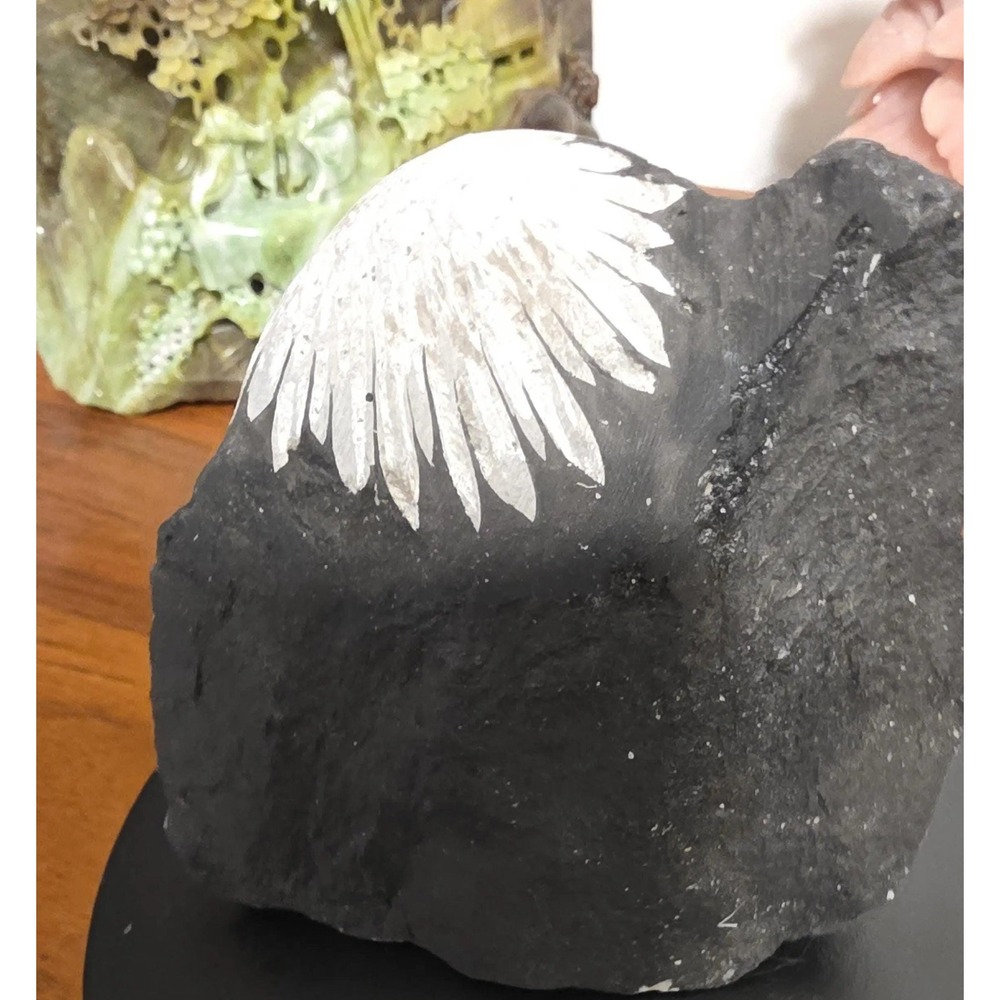 Chrysanthemum Stone, Flower Stone, ornamental rock, Protect your energy Fields